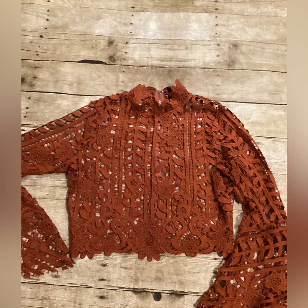 Windsor Rust Lace Crop Top Size M | Long Sleeve High Neck Boho Floral - Picture 2 of 4